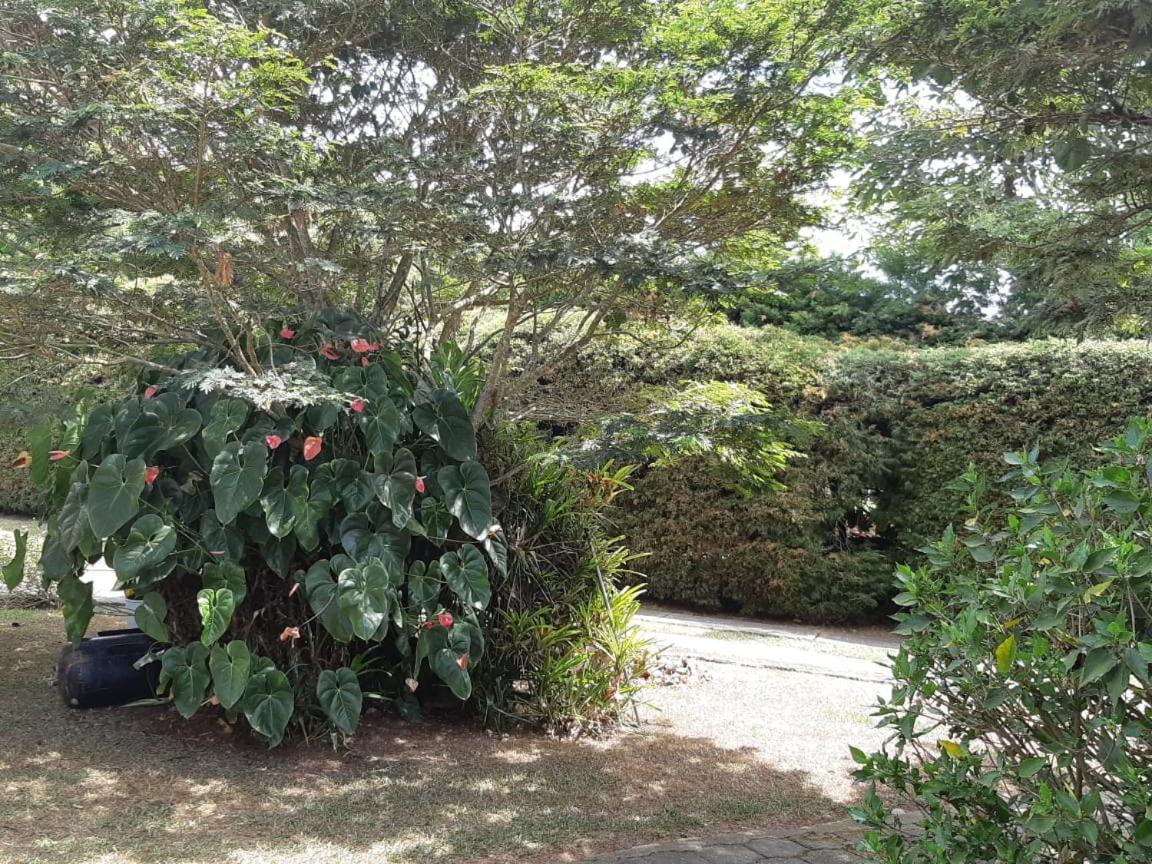Finca Paraiso Calima Eksteriør bilde
