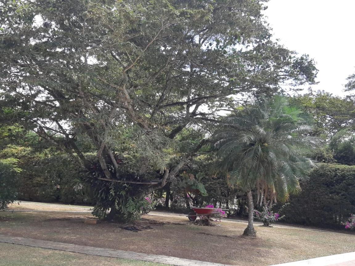 Finca Paraiso Calima Eksteriør bilde
