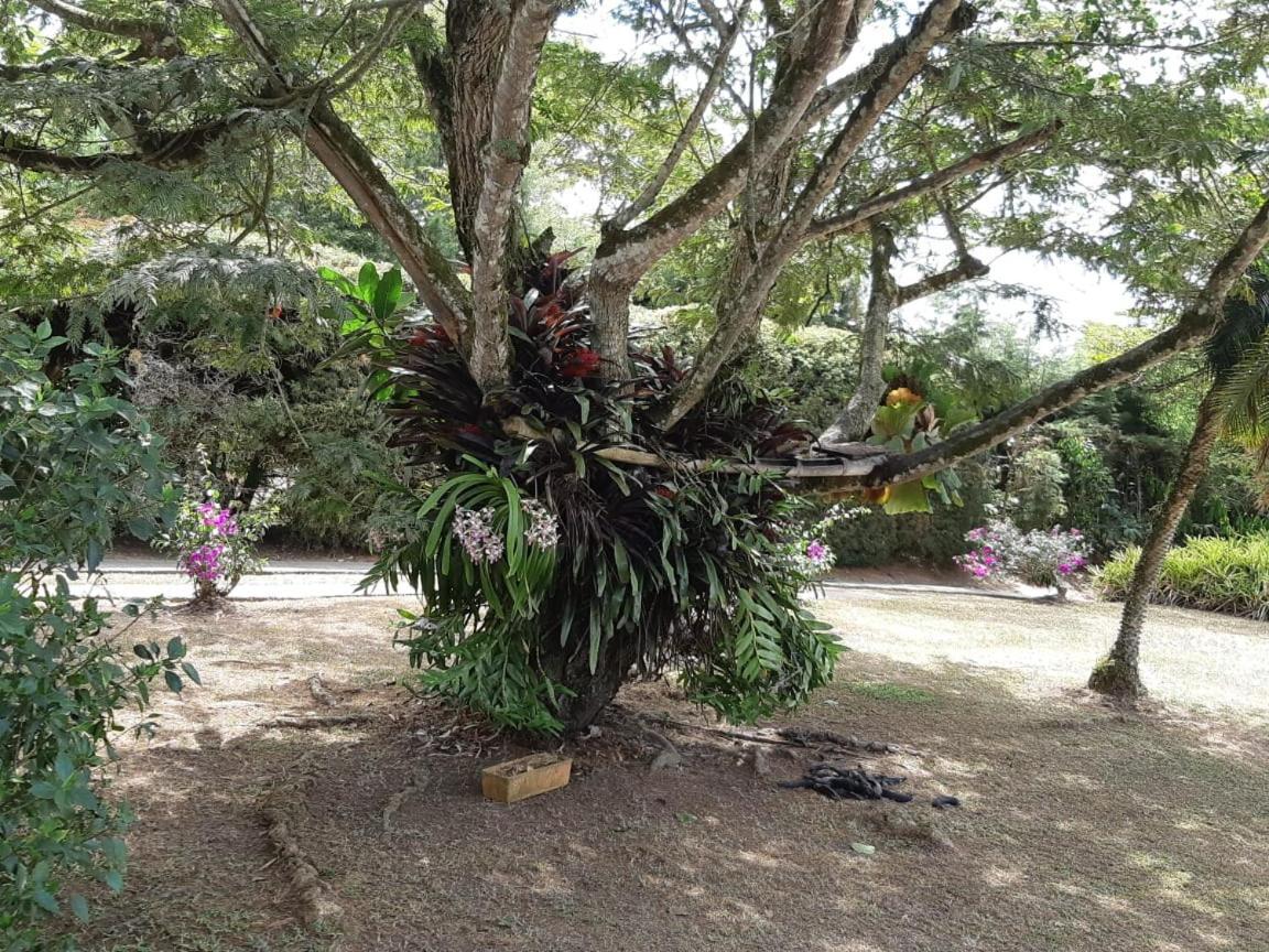 Finca Paraiso Calima Eksteriør bilde