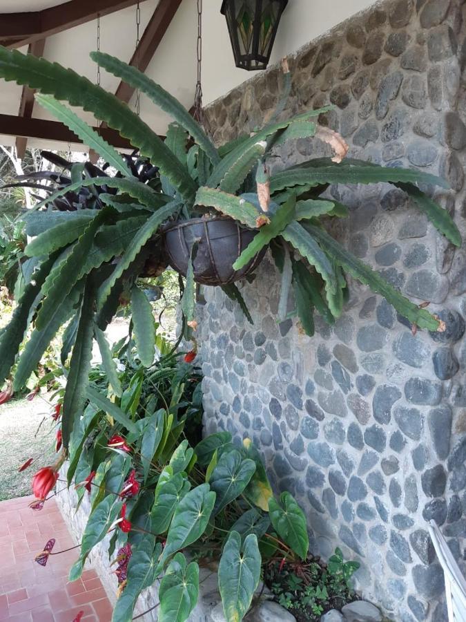 Finca Paraiso Calima Eksteriør bilde